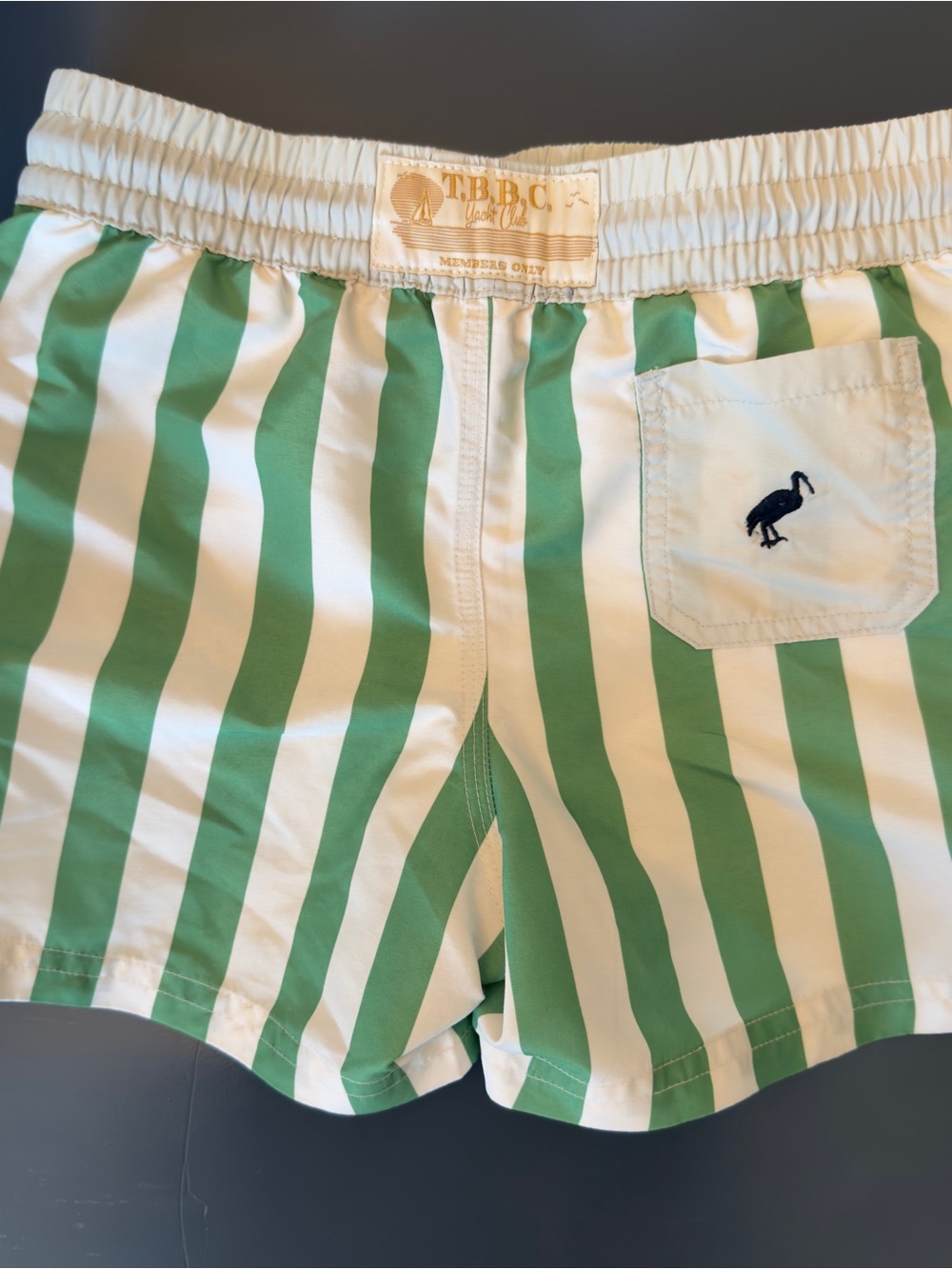 The Beaufort Bonnet Company Boys Swim Trunks - Picture 2 of 3